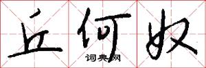 丘何奴怎么写好看