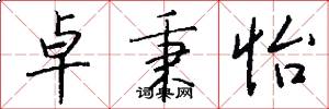 卓秉怡怎么写好看
