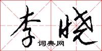 李晓怎么写好看