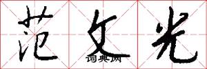 范文光怎么写好看