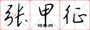 张甲征怎么写好看