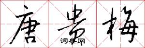 唐贵梅怎么写好看