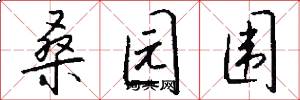 桑园围怎么写好看