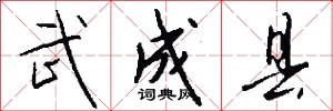 武成县怎么写好看