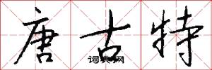 唐古特怎么写好看