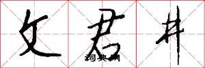 文君井怎么写好看