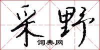 采野怎么写好看
