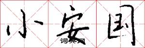 小安国怎么写好看