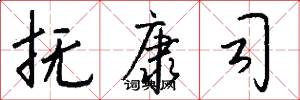 抚康司怎么写好看