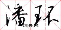潘环怎么写好看