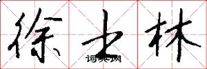徐士林怎么写好看