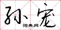 孙宠怎么写好看