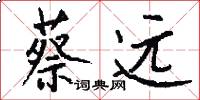 蔡远怎么写好看