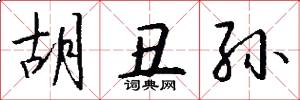 胡丑孙怎么写好看