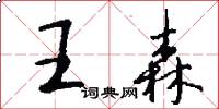 王森怎么写好看