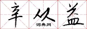 辛从益怎么写好看
