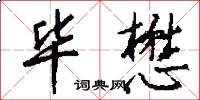 毕懋怎么写好看