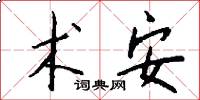 术安怎么写好看