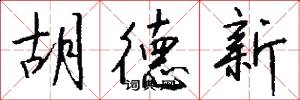 胡德新怎么写好看