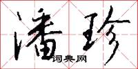 潘珍怎么写好看