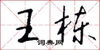 王栋怎么写好看