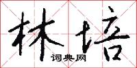 林培怎么写好看