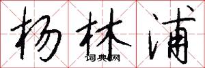 杨林浦怎么写好看