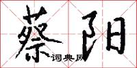 蔡阳怎么写好看