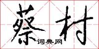 蔡村怎么写好看