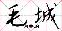 毛城怎么写好看