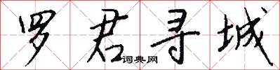 罗君寻城怎么写好看