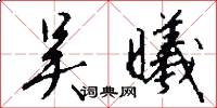 吴曦怎么写好看
