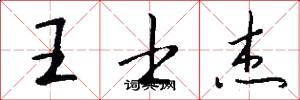 王士杰怎么写好看