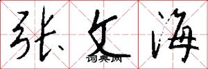 张文海怎么写好看