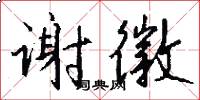 谢徽怎么写好看