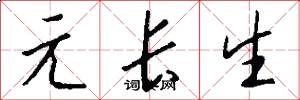 元长生怎么写好看