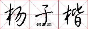 杨于楷怎么写好看