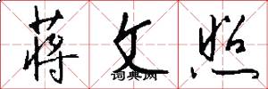 蒋文照怎么写好看