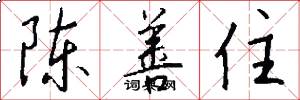陈善住怎么写好看