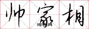 帅家相怎么写好看