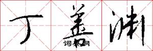 丁善渊怎么写好看