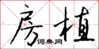 房植怎么写好看