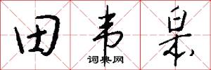 田韦皋怎么写好看