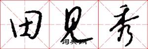 田见秀怎么写好看