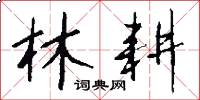 林耕怎么写好看