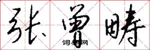 张曾畴怎么写好看