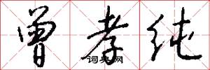 曾孝纯怎么写好看