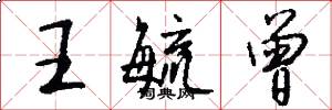 王毓曾怎么写好看