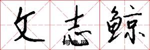 文志鲸怎么写好看