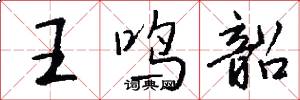 王鸣韶怎么写好看